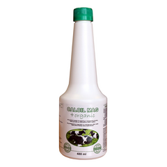 Ruvera CALCIL MAG + organic 480 ml