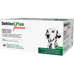 Krka Dehinel Plus Flavour tbl. N100*