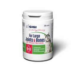 Gigi Large Joints&Bones tbl. N240