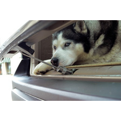 WalkyLock — bagāžnieka slēdzenes sistēma, 16cm