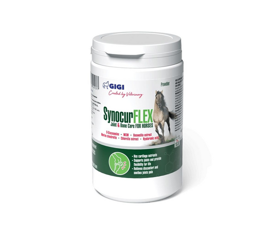 Gigi Synocour Flex Joint&Bone Care FOR HORSES pulv. 900 g