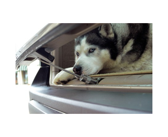 WalkyLock — bagāžnieka slēdzenes sistēma, 16cm